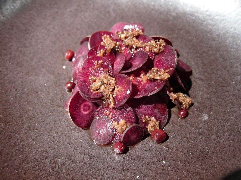 IMG_3316.JPG - Salted red kangaroo and bunya bunya (pine nut), purple carrots, red cabbage, currants