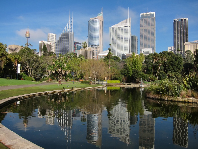 IMG_2626.JPG - Skyline reflection from the main pond inside the Botanical Gardens