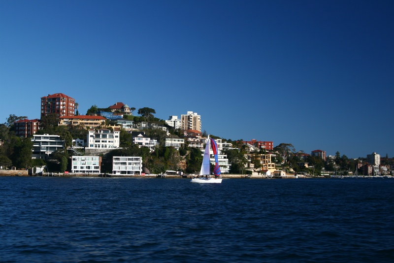 IMG_9304.JPG - Sailboat, the suburb of Point Piper in background