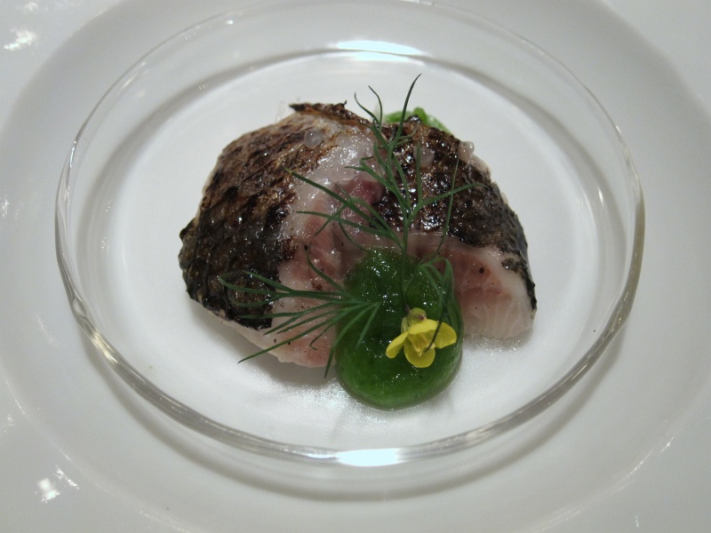 IMG_3809.JPG - Iwashi - Japanese sardine, sakura smoke, finger lime, dill, pickled fennel, cucumber pure