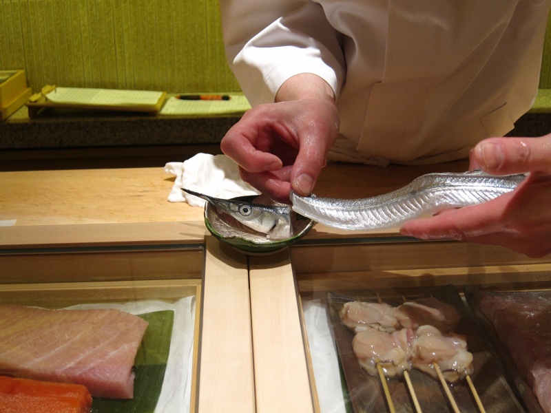 IMG_4075.JPG - Here's what the sayori fish looks like - the fish's lower beak is much shorter than the upper one