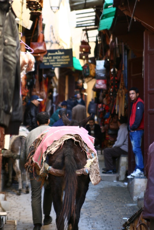 IMG_8084.JPG - On Rue Talaa Kebira, one of the main streets in Fes medina