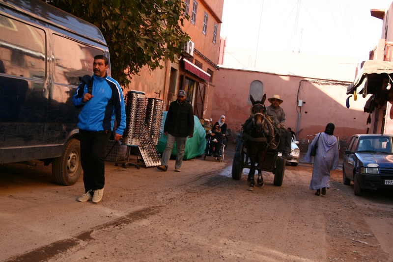 IMG_8394.JPG - Another mule in Marrakech