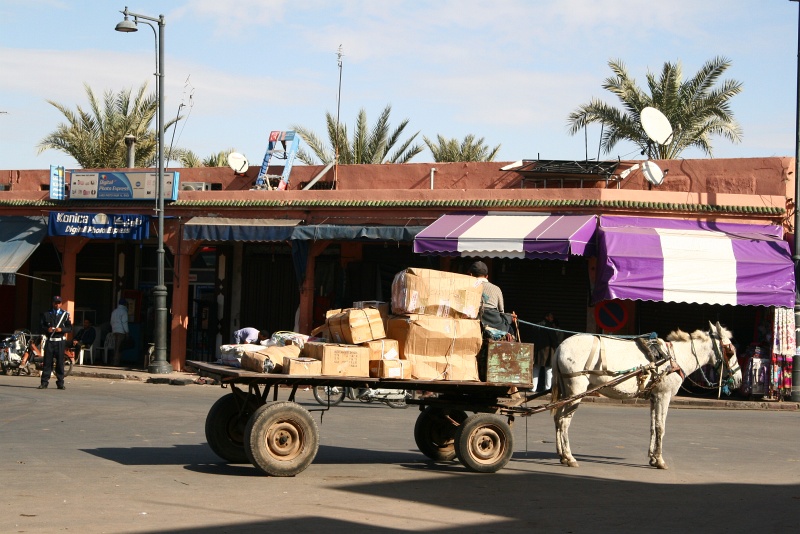 IMG_8433.JPG - A mule carrying boxes in Marrakech near El Badi Palace