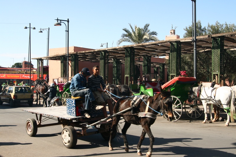 IMG_8458.JPG - Donkey cart in Marrakech