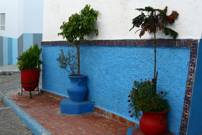 IMG_8211.JPG - Potted plants in the Andalucian Quarter, the walls are painted blue to protect against mosquitoes