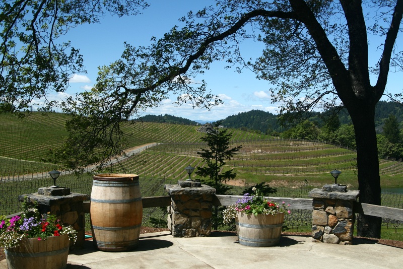 IMG_7195.JPG - Porch overlooking Pride Mountain Vineyards