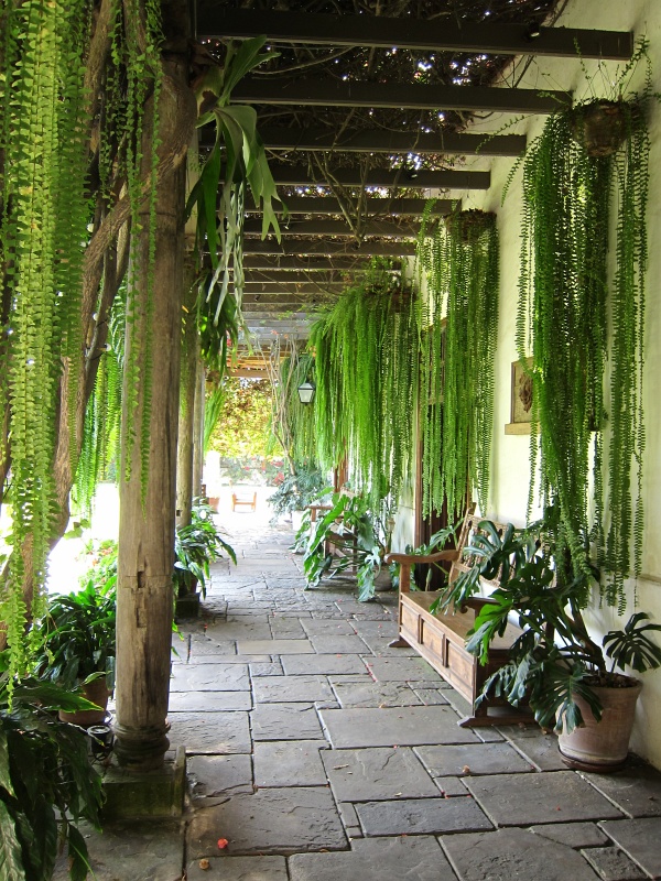 IMG_1728.JPG - Walkway shaded with lush vegetation inside Larco, near the erotic pottery wing