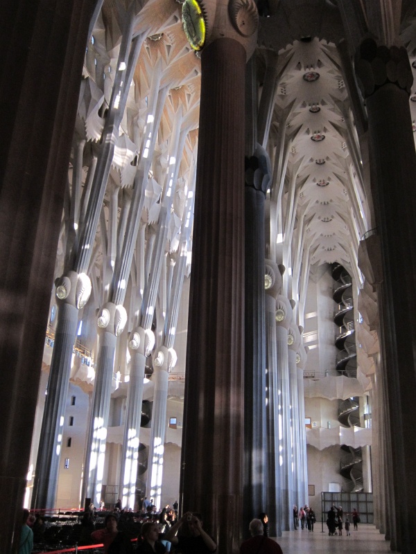 IMG_0112.JPG - There are 56 massive columns inside the church that look distinctively different from columns and arches inside any other church.  Gaudi studied the Gothic pointed arches and evolved them to resemble parabolic and hyperbolic shapes inside this church.