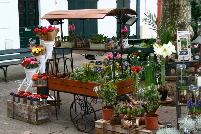 IMG_6269.JPG - Flower cart near Rue Gambetta