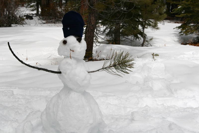 IMG_8741.JPG - We make a snow man with Dropbox hat