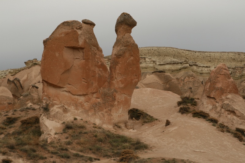 IMG_5432.JPG - Rock formation resembling a camel in Devrent Imagination Valley
