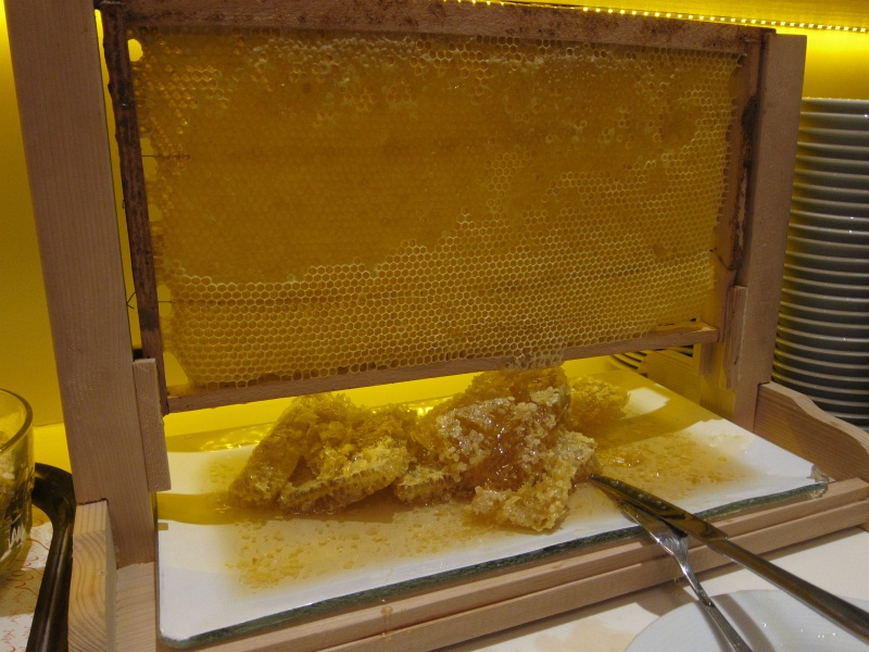 IMG_1203.JPG - This ridiculous honeycomb contraption was part of the breakfast buffet at WOW Hotel, near Istanbul airport.